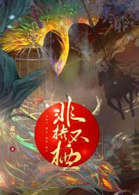 非梧不栖